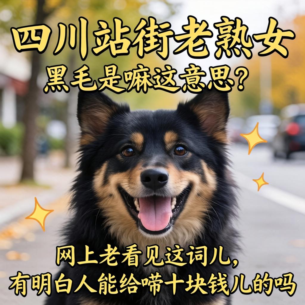 四川站街老熟女黑毛是嘛意思?网上老看见这词儿,有明白人能给唠十块钱儿的吗?
