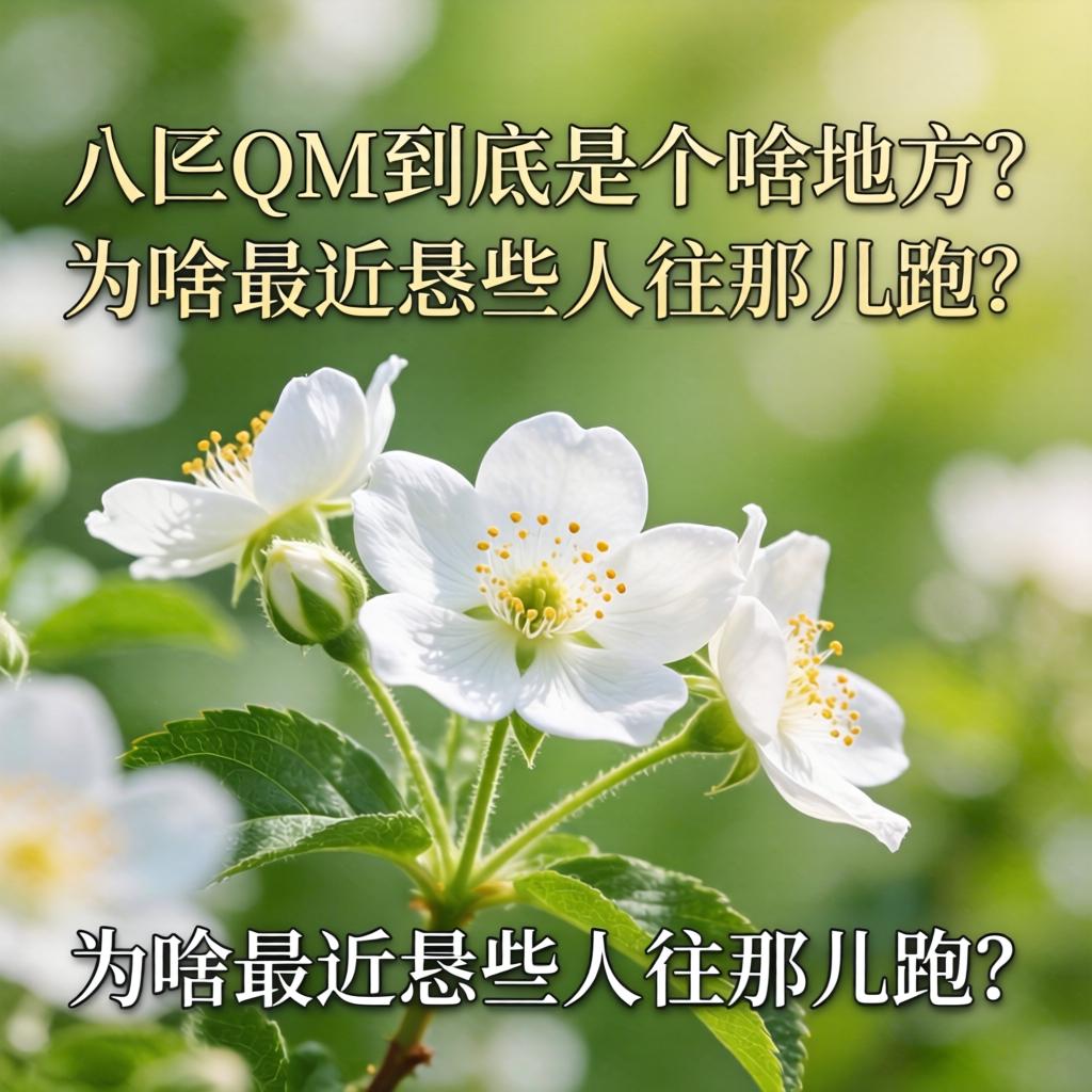 白花丛qm到底是个啥地方?为啥最近恁些人往那儿跑?
