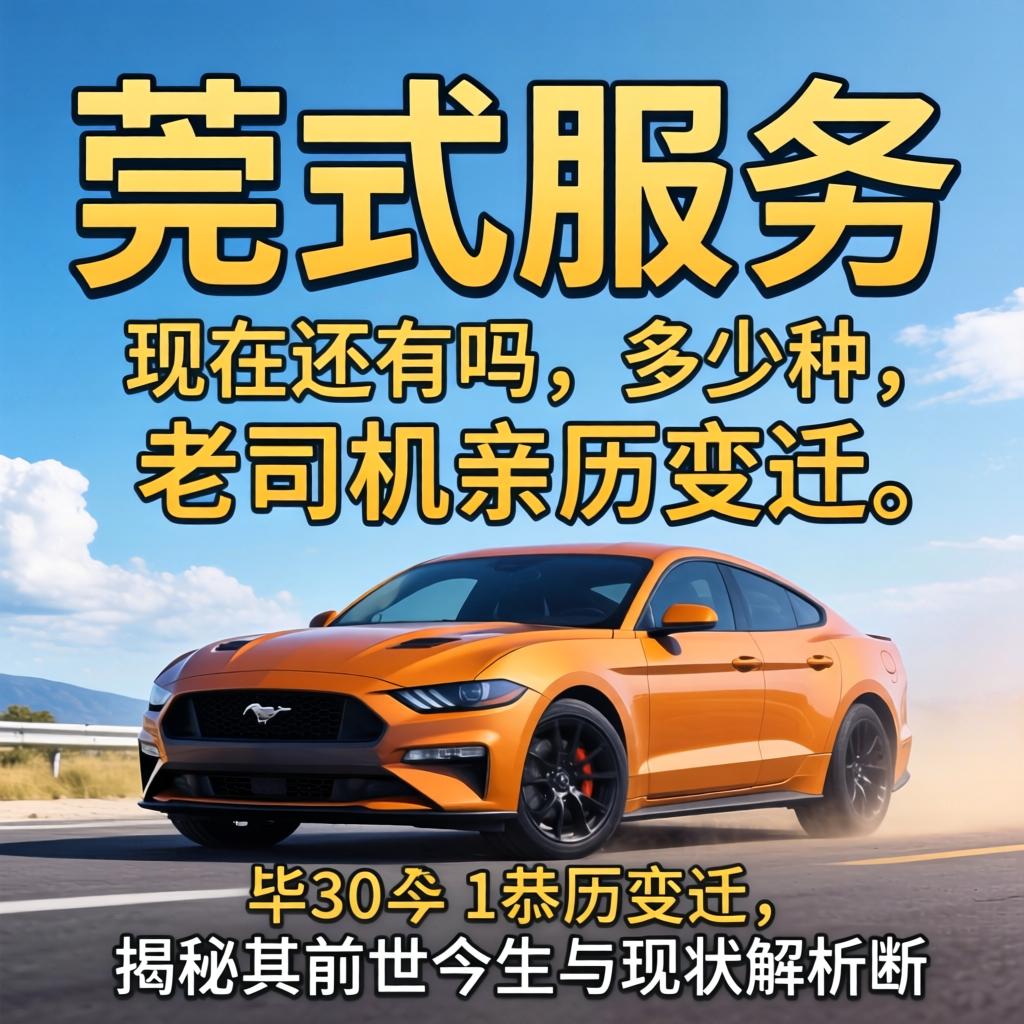莞式服务包括多少种,现在还有吗?老司机亲历变迁,揭秘其前世今生与现状解析